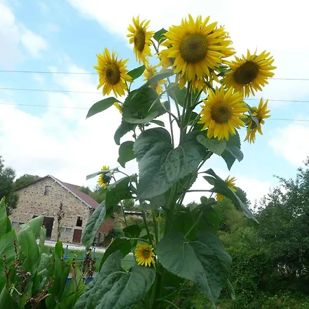 Holiday home Tranquille Avec Cheminee, Terrasse Sur La Saone Et Borne Ev, Animaux Bienvenus - Fr-1-589-103